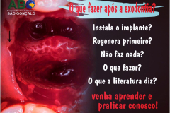 WhatsApp-Image-2024-10-25-at-22.12.30